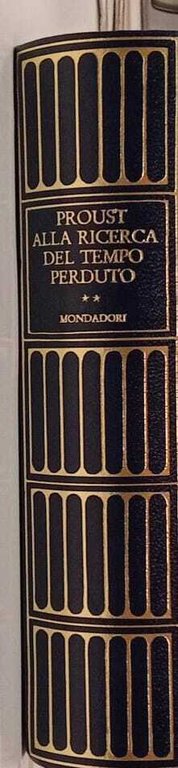 Alla ricerca del tempo perduto (Vol. 2)
