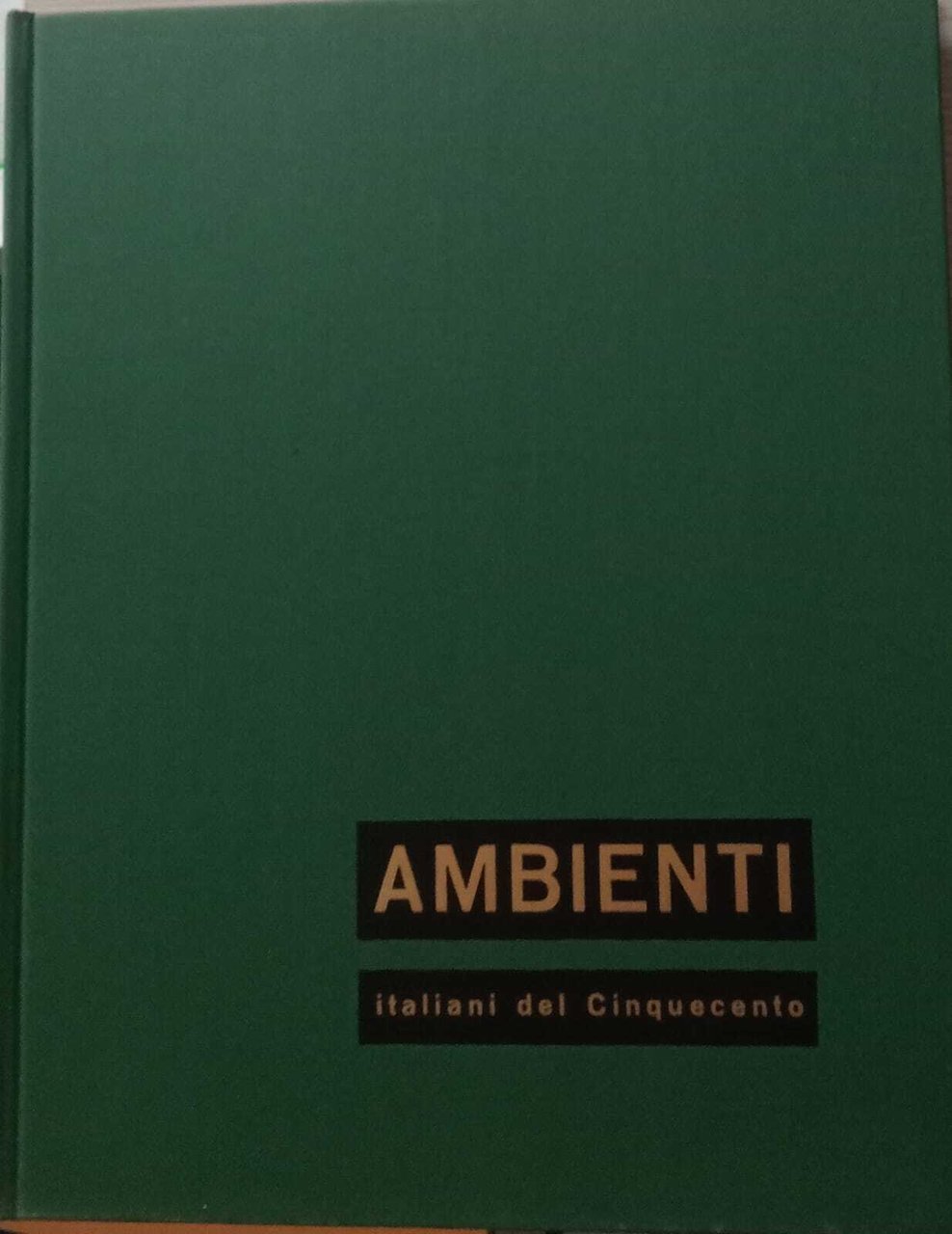 Ambienti italiani del cinquecento. | Immagine principale