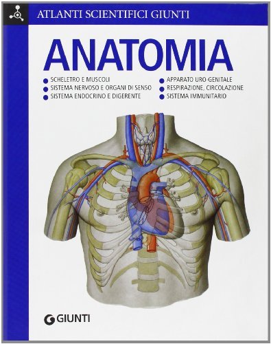 Anatomia | Immagine principale