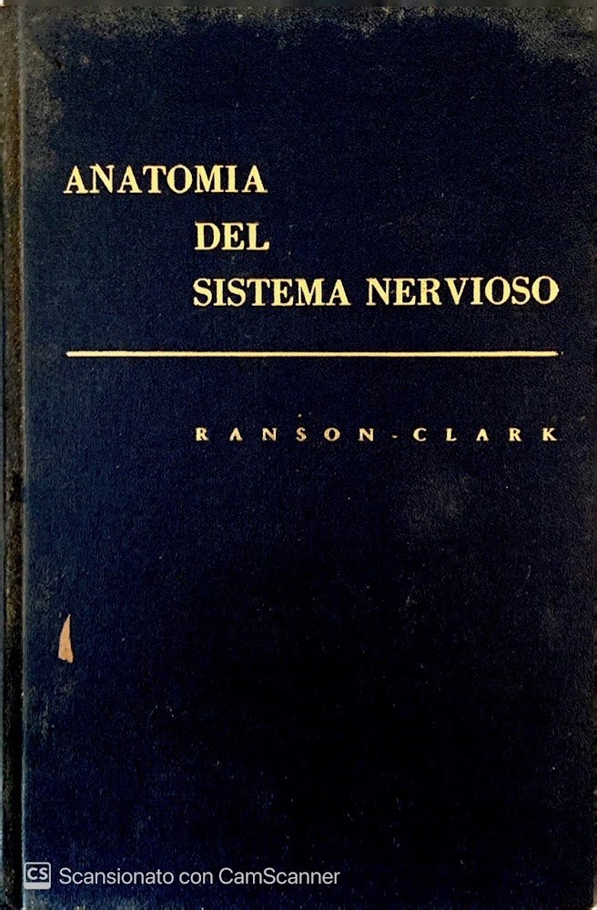 Anatomia del sistema nervioso