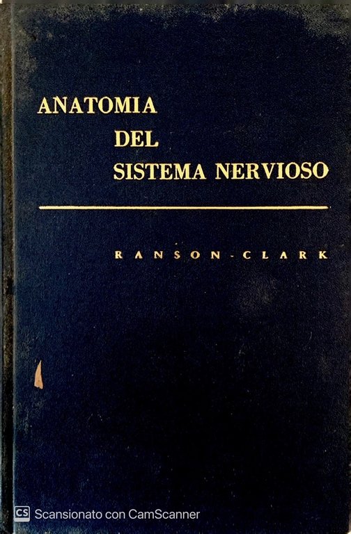 Anatomia del sistema nervioso