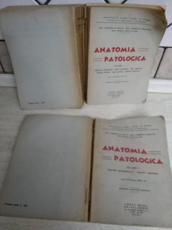 Anatomia patologica