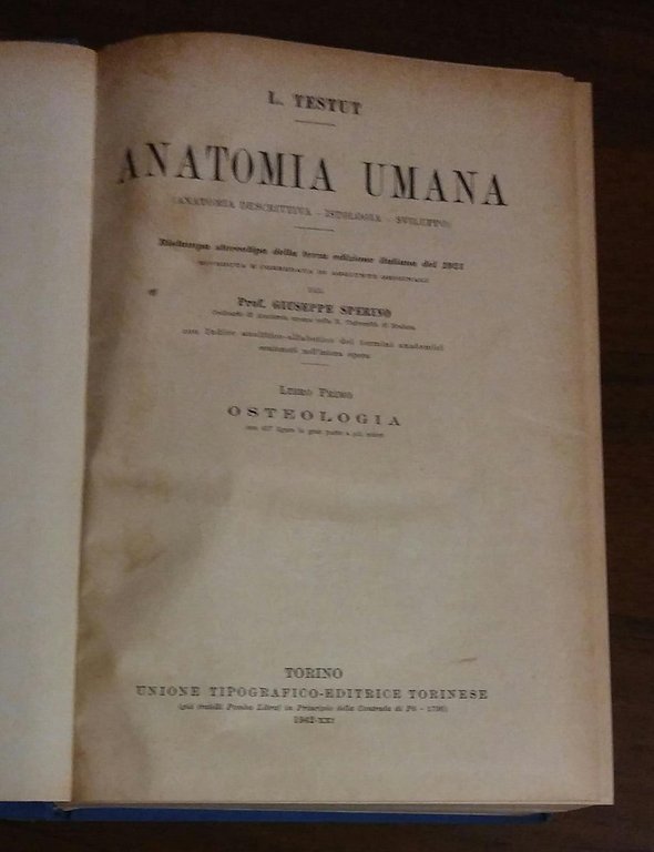 ANATOMIA UMANA