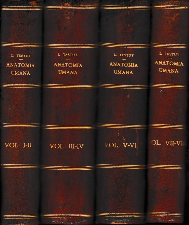 Anatomia Umana, dodici volumi.