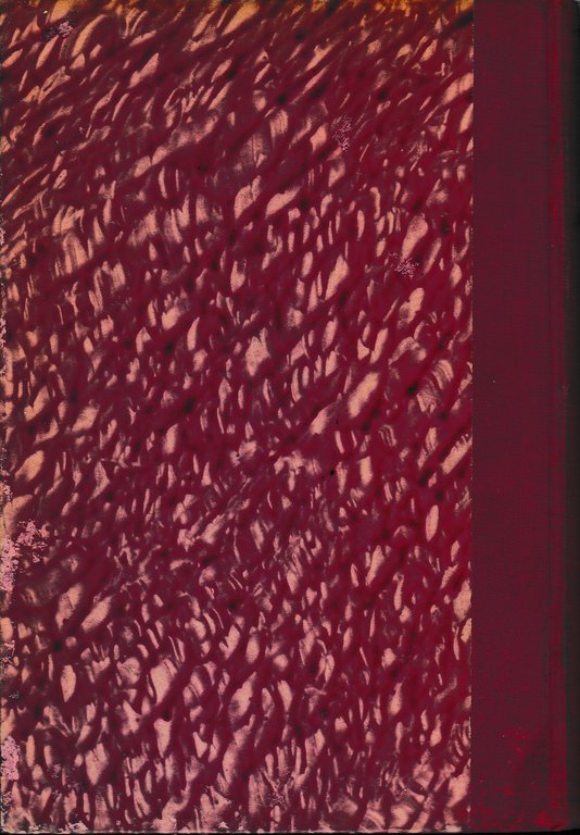 Anatomia umana normale, vol. 6^. Splancnologia