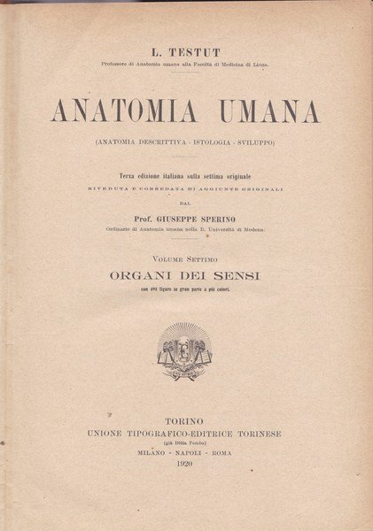 Anatomia umana. VII. Organi dei sensi.