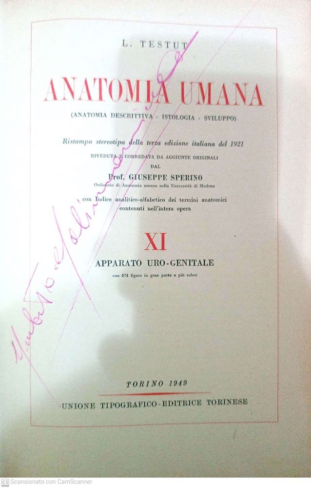 Anatomia umana vol. XI apparato uro-genitale