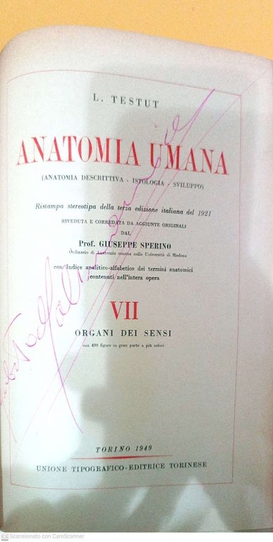 Anatomia umana vol. XII embriologia