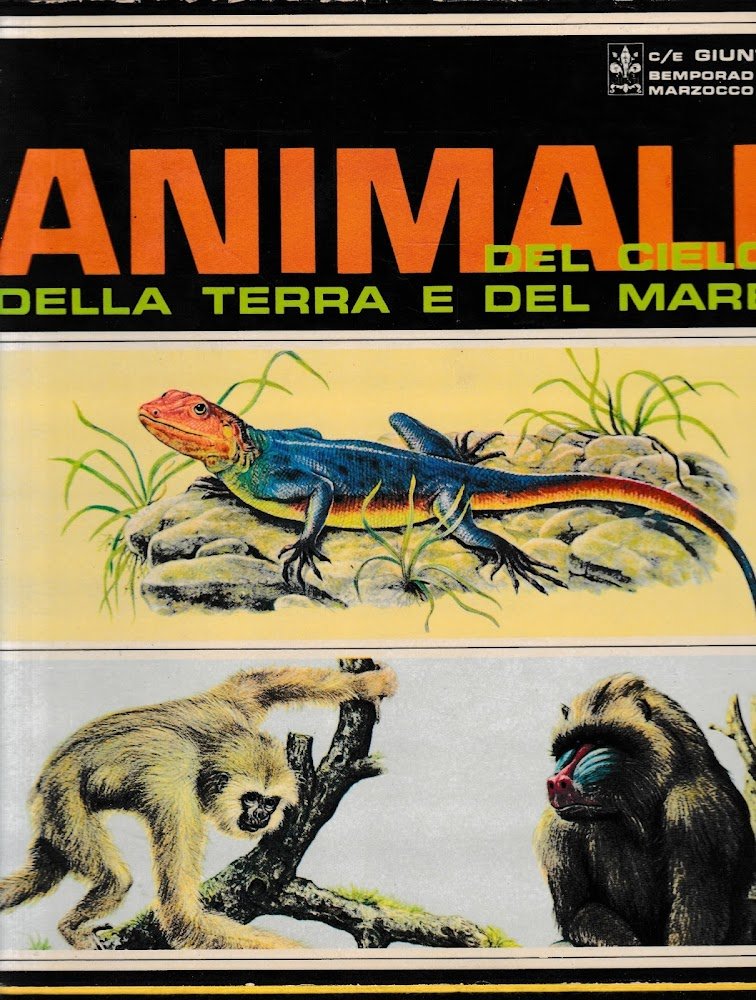 Animali del cielo, della terra e del mare