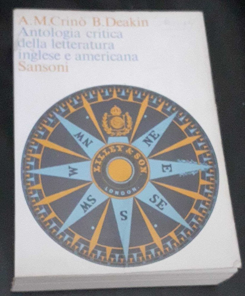 Antologia critica della letteratura inglese e americana