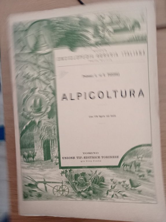 Apicoltura