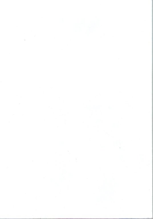 ARAMAICA | Immagine Gallery 4