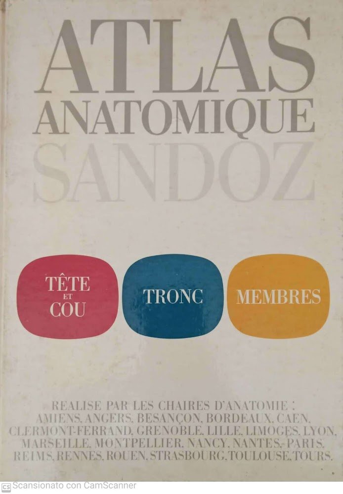 Atlas anatomique