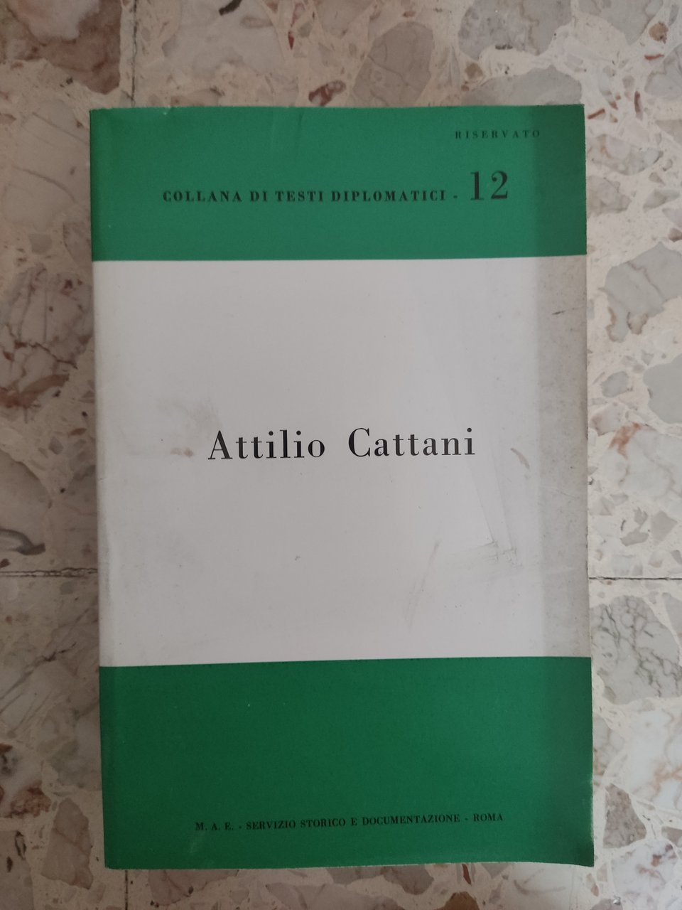 Attilio Cattani | Immagine principale