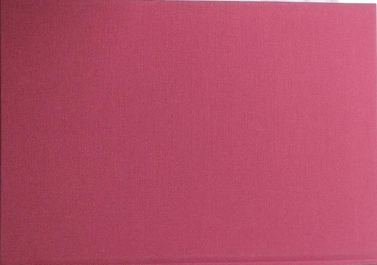 Beato Papa Pio IX. Ricognizione e consevazione delle sue spoglie …