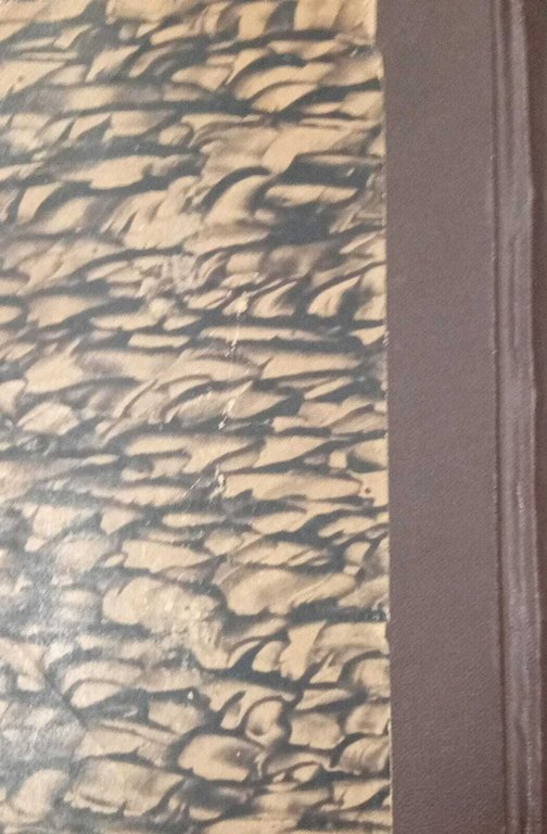 Biblia Sacra ad optima quaeque veteris &amp; vulgate translationis exeplaria … | Immagine Gallery 3