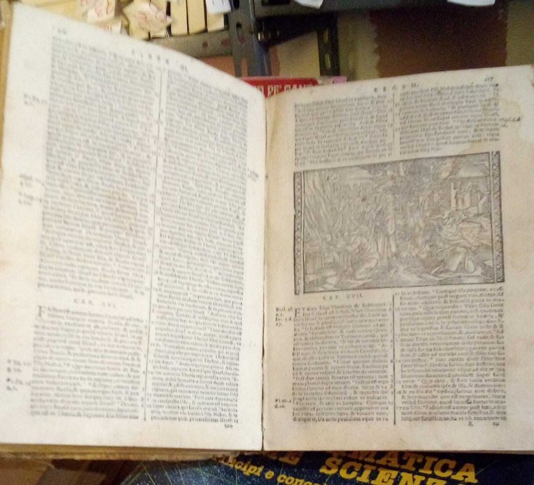 Biblia sacra. Vulgatae Editionis Sixti V. Pont. Max. Iussu recognita …