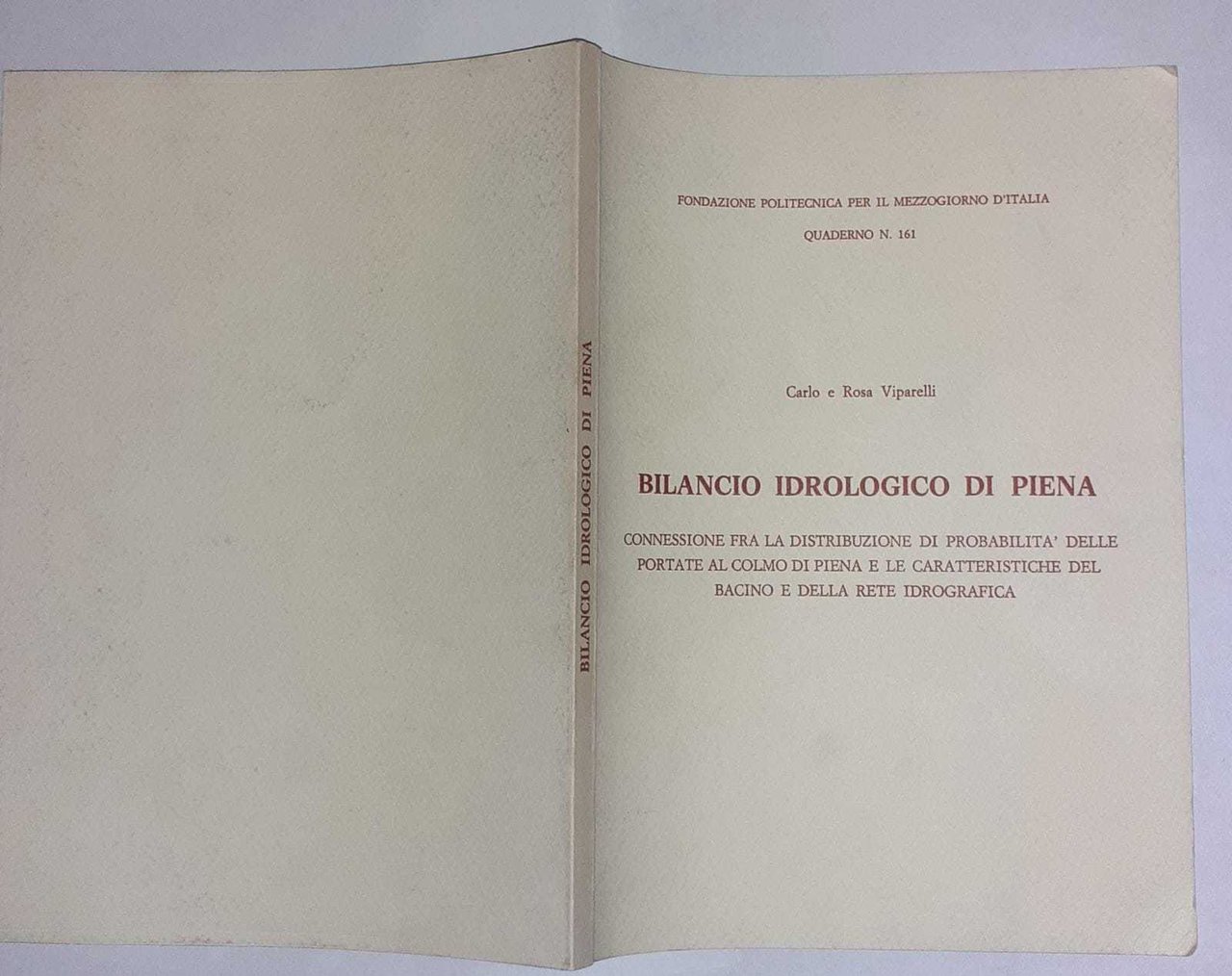Bilancio idrologico di piena | Immagine principale