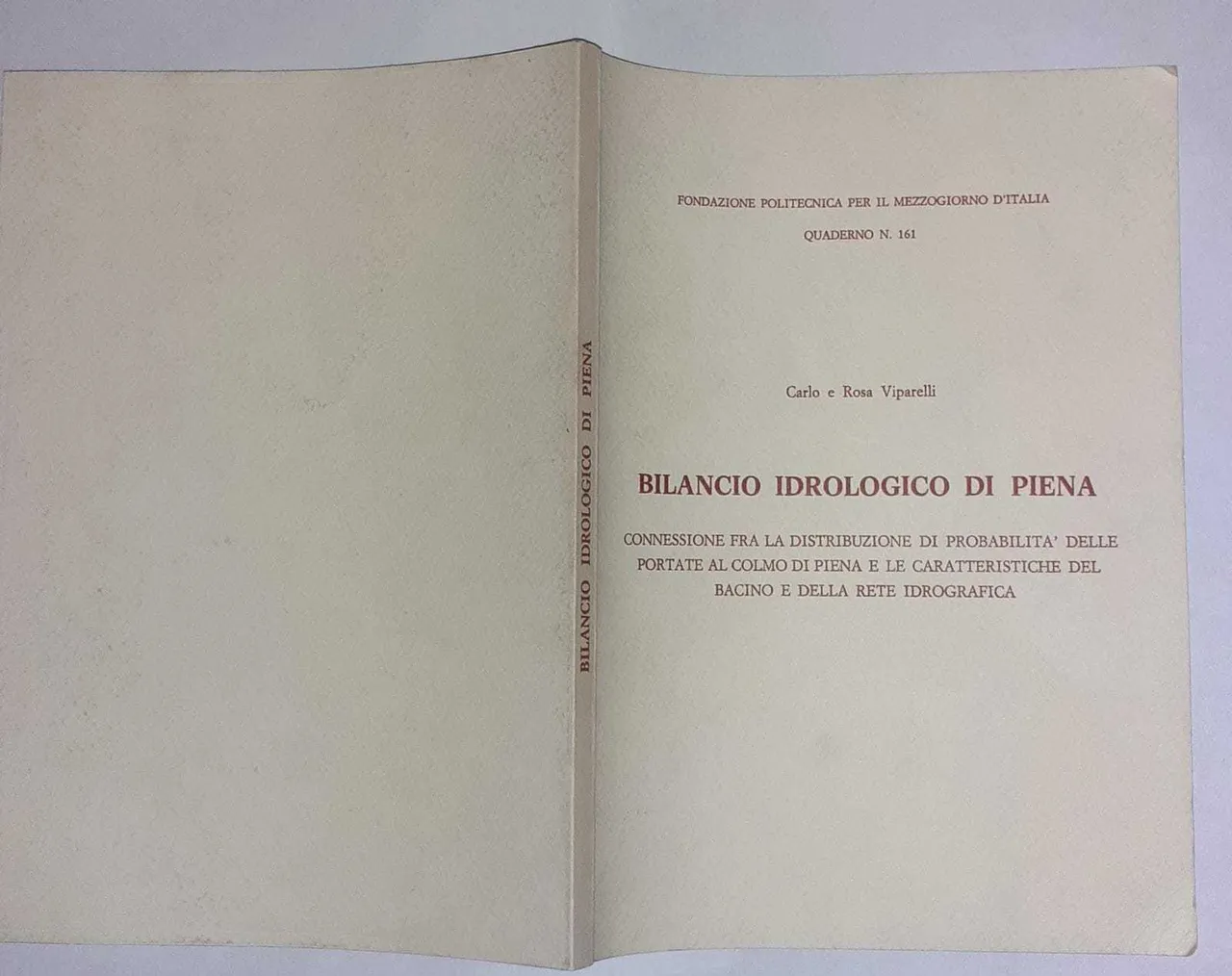 Bilancio idrologico di piena | Immagine principale