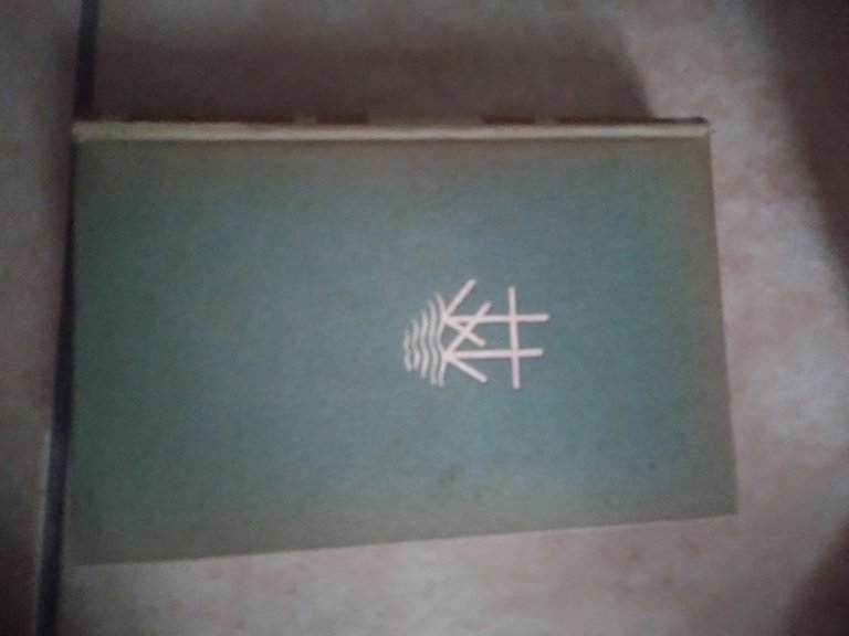 Bill degli elefanti | Immagine Gallery 2