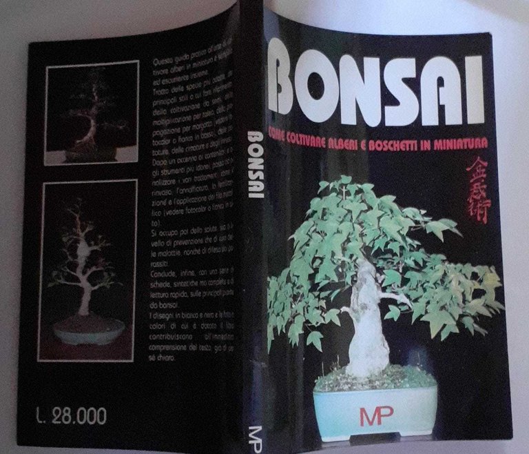 Bonsai come coltivare alberi e boschetti in miniatura
