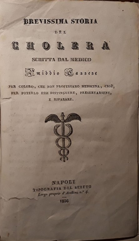 Brevissima storia del cholera scritta dal medico Emiddio Cassese