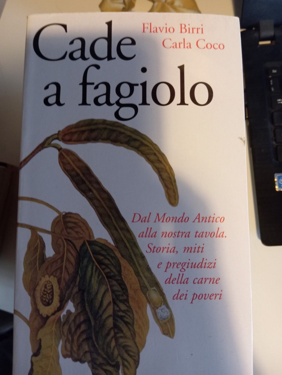 Cade a fagiolo. Dal mondo antico alla nostra tavola. Storia, … | Immagine principale