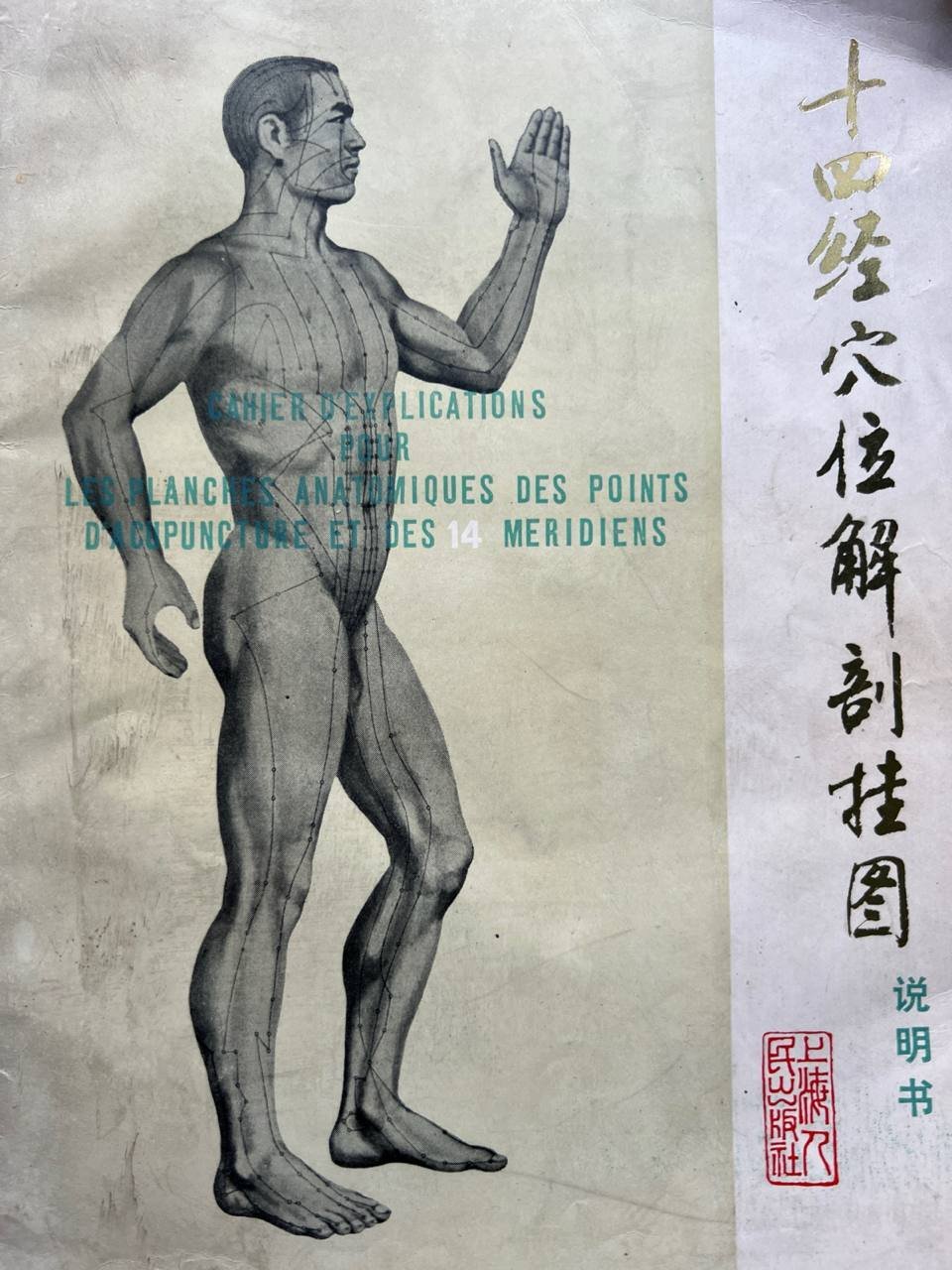 Cahier d'explications pour les planches anatomiques des points d'acupuncture et … | Immagine principale