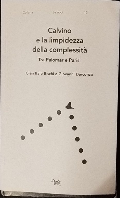 Calvino e la limpidezza della complessità. Tra Palomar e Parisi