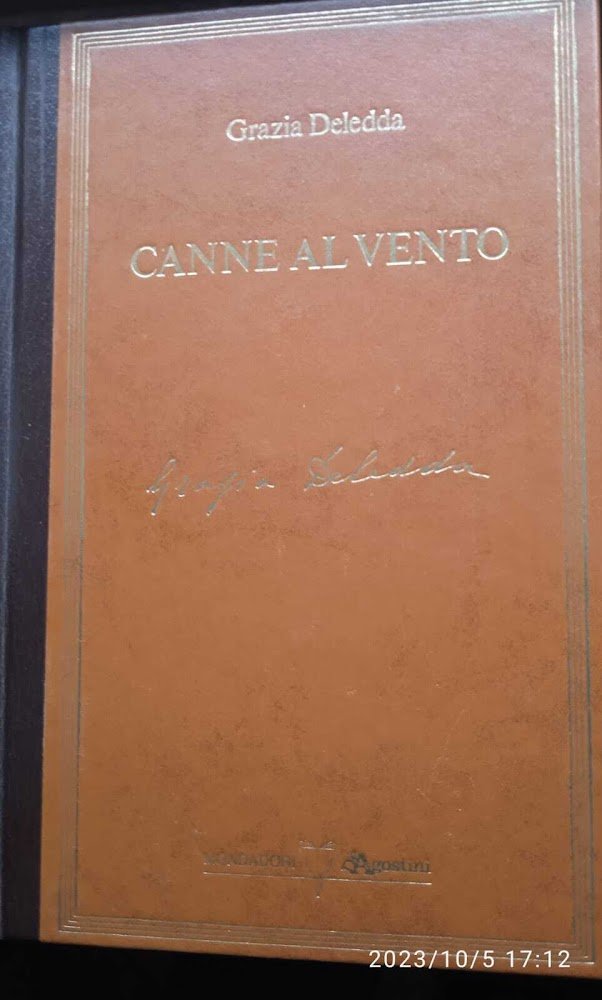Canne al vento | Immagine principale
