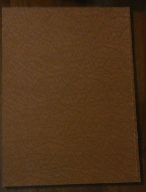 cannes: 35 ans | Immagine Gallery 3