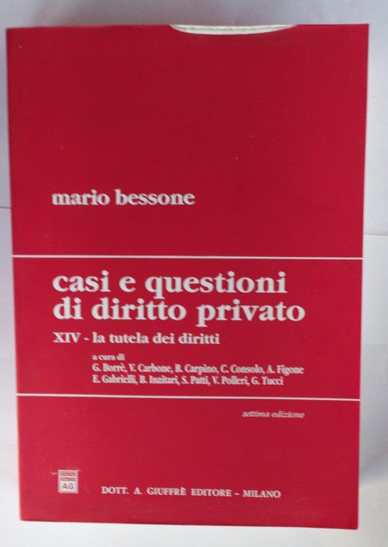 Casi e questioni di diritto privato. XIV-La tutela dei diritti