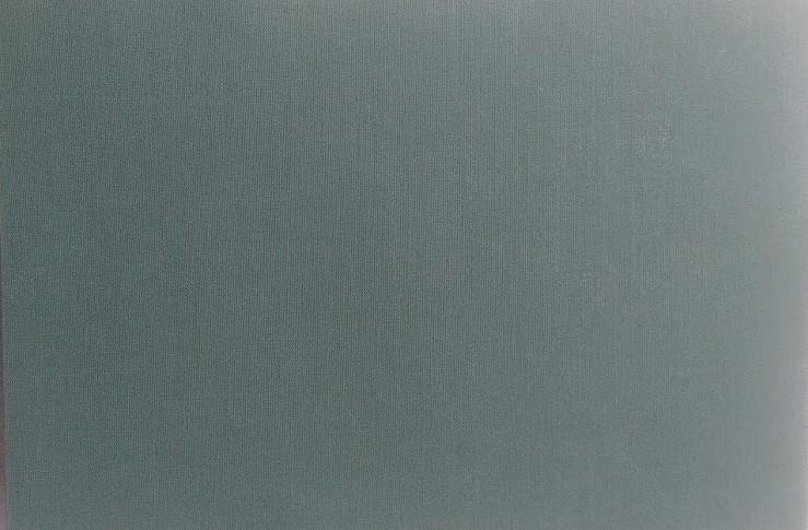 Celebrazione del cinquantenario della municipalizzazione (Atti del Convegno di Studi)