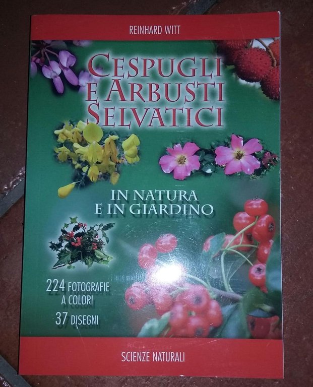 Cespugli e arbusti selvatici in natura e in giardino