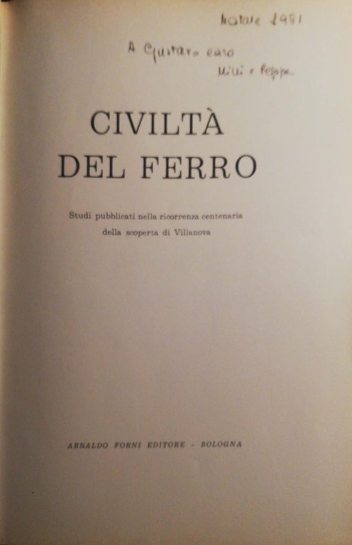 Civiltà del ferro vol. VI | Immagine Gallery 3