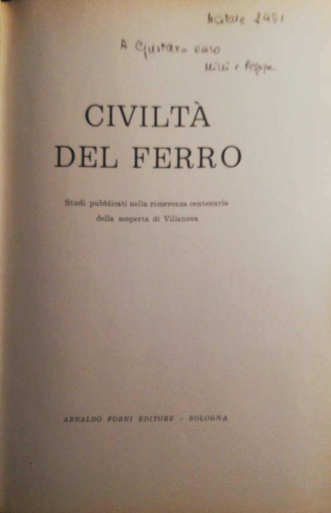 Civiltà del ferro vol. VI | Immagine principale