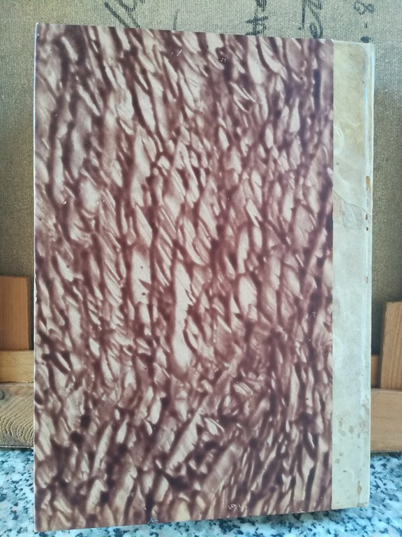 Collezione Regi decreti 1868. (Originali). | Immagine Gallery 4