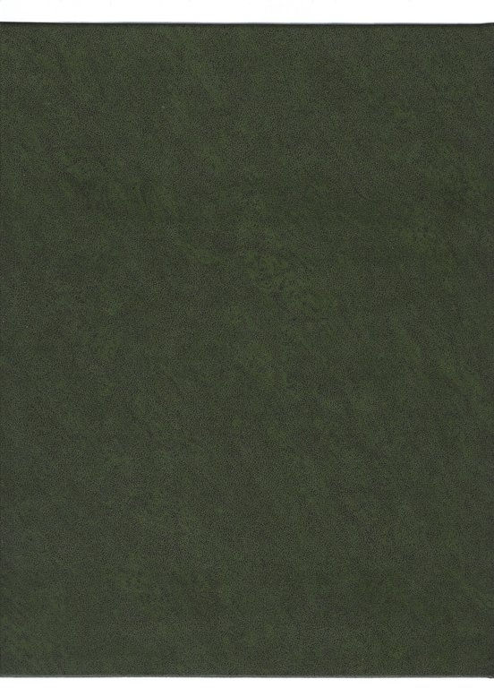 Collezione soldatini di piombo | Immagine Gallery 2