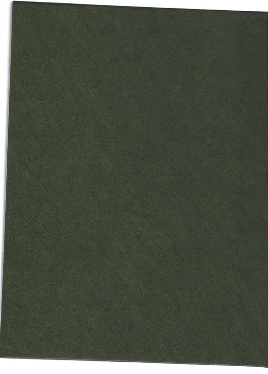 Collezione soldatini di piombo | Immagine Gallery 6