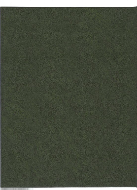 Collezione soldatini di piombo | Immagine Gallery 11