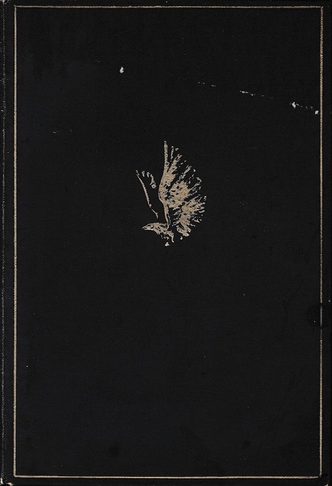 Come non fui imperatrice. Memorie dell'ultima principessa ereditaria d'Austria-Ungheria