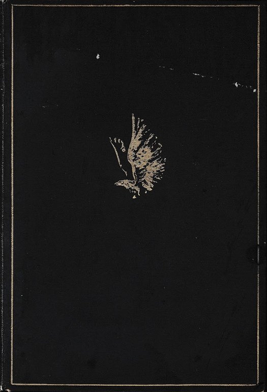 Come non fui imperatrice. Memorie dell'ultima principessa ereditaria d'Austria-Ungheria