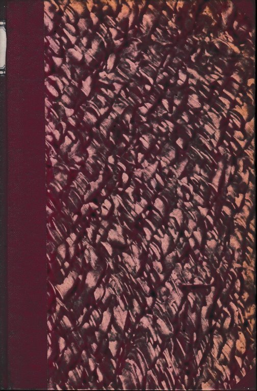 Commento al Codice Penale Italiano vol. 4