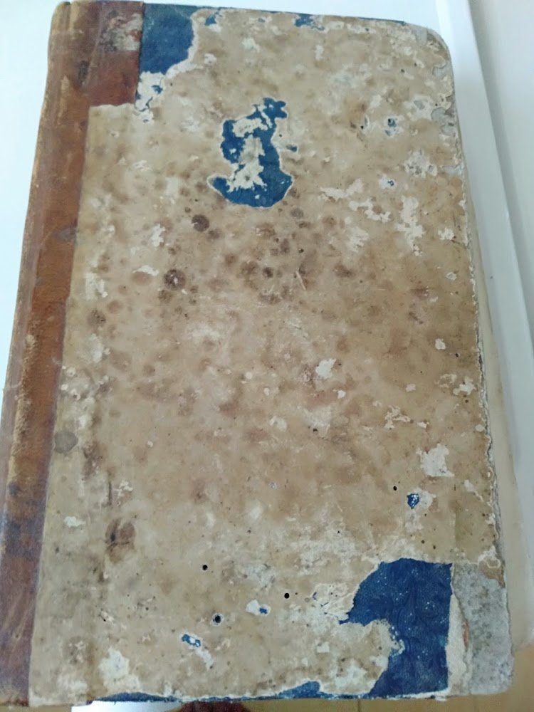 Crestomazia italiana cioè scelta di luoghi insigni o per risentimento … | Immagine principale