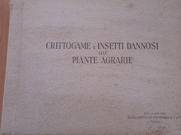 Crittogame e insetti dannosi alle piante agrarie | Immagine Gallery 2