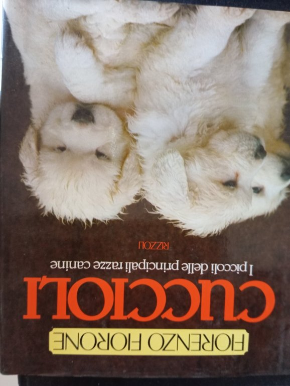 Cuccioli. I piccoli delle principali razze canine.