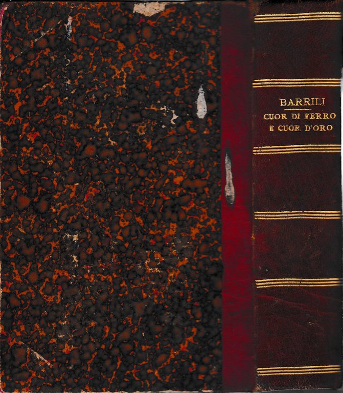 Cuor di ferro e cuor d'oro. Vol. 1^ | Immagine Gallery 4