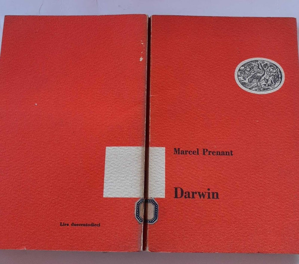Darwin | Immagine principale