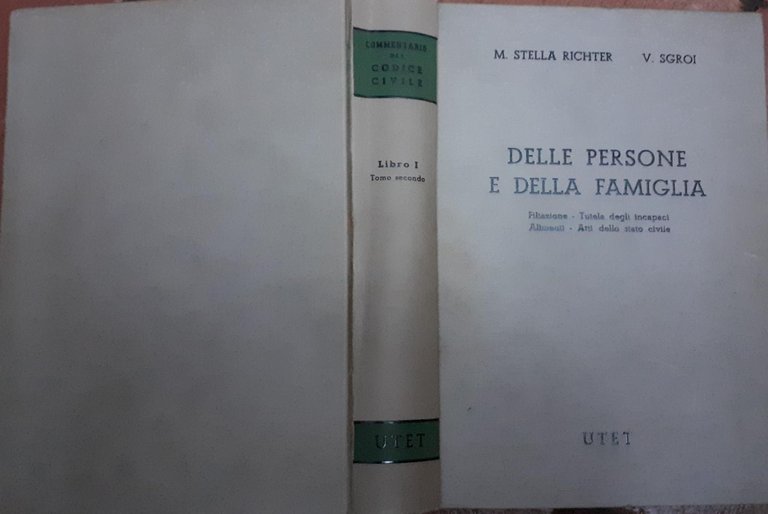 Delle persone e della famiglia. Filiazione, tutela degli incapaci, alimenti, …