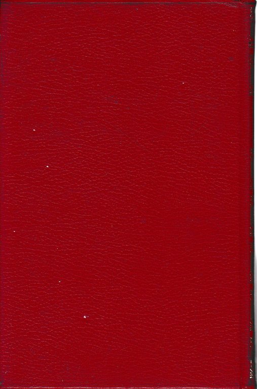 Demetrio Pianelli | Immagine Gallery 4